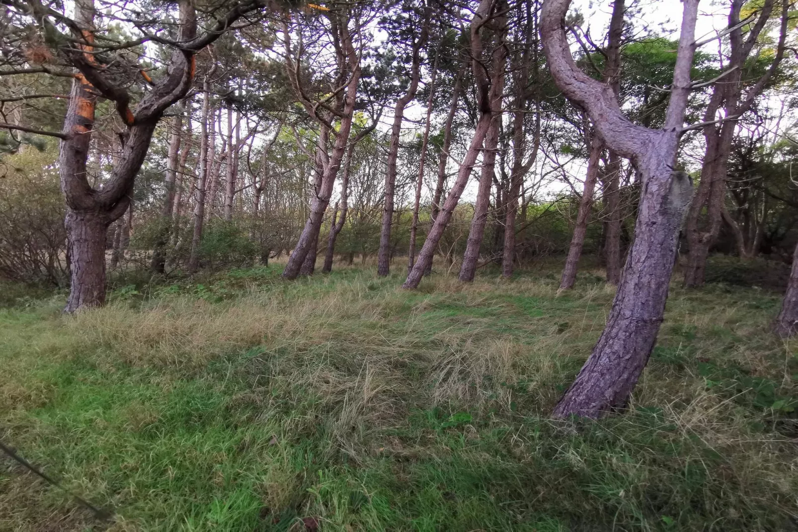 Maison de vacances pour 6 a Dannemare-By Traum-Non tagué