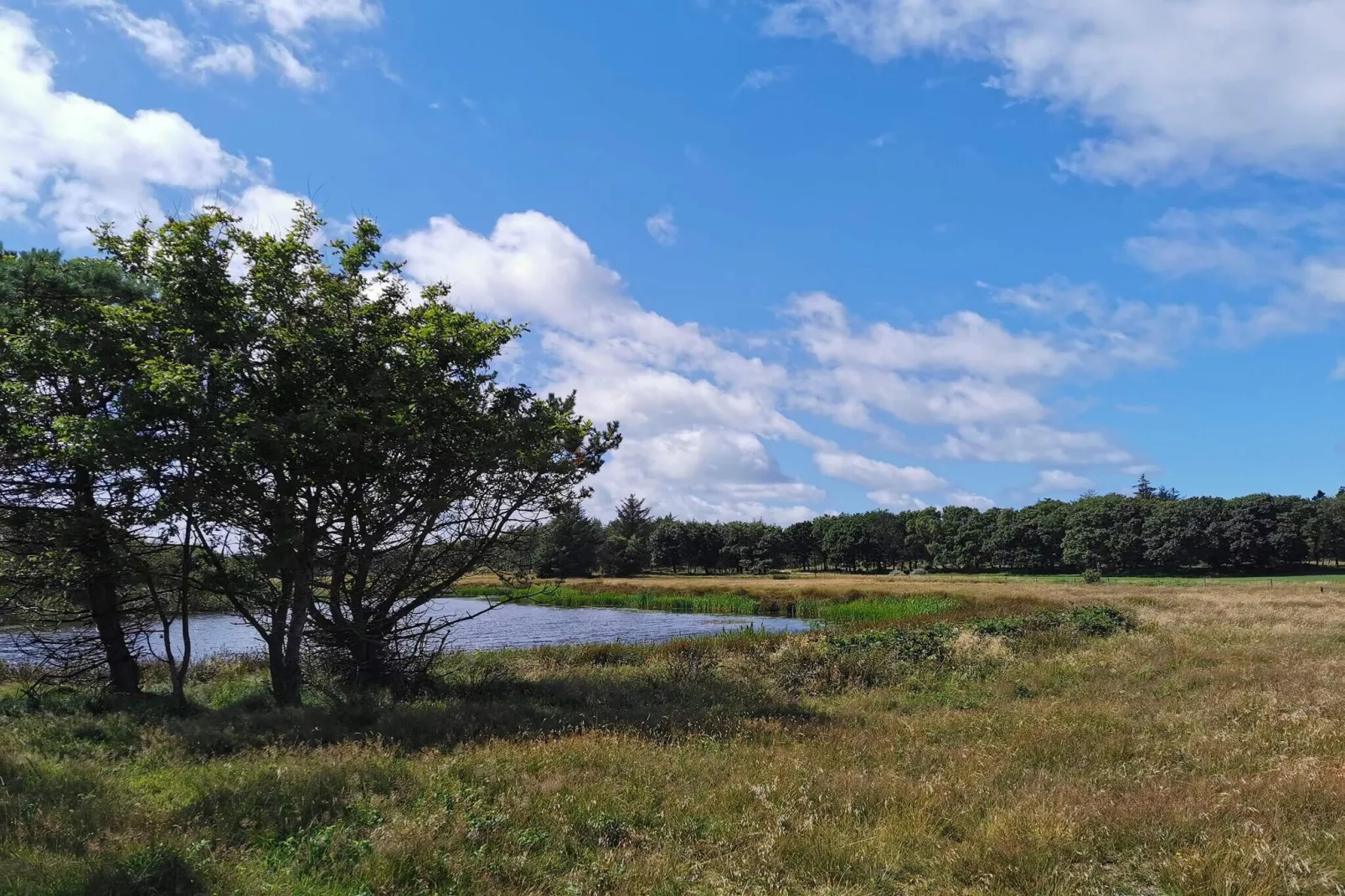 6 person holiday home in Vejers Strand-Water view