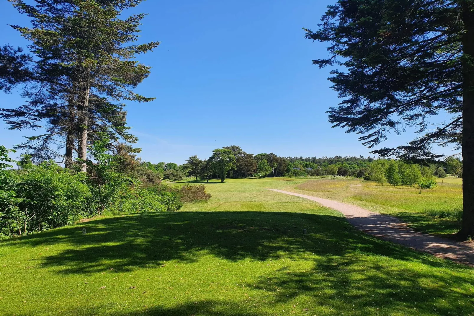 6 person holiday home in Ørsted-By Traum-Untagged
