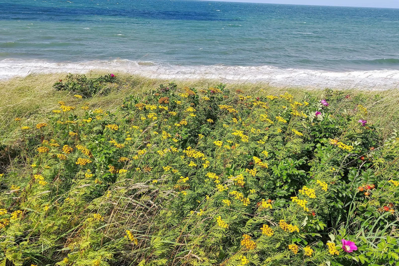 8 Personen Ferienhaus in Gilleleje-By Traum-Wasserblick