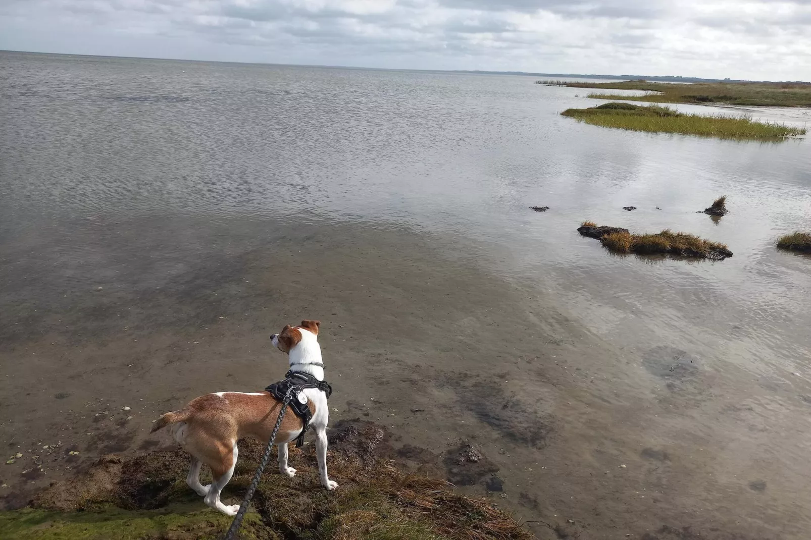 6 person holiday home in Ørsted-By Traum-Water view