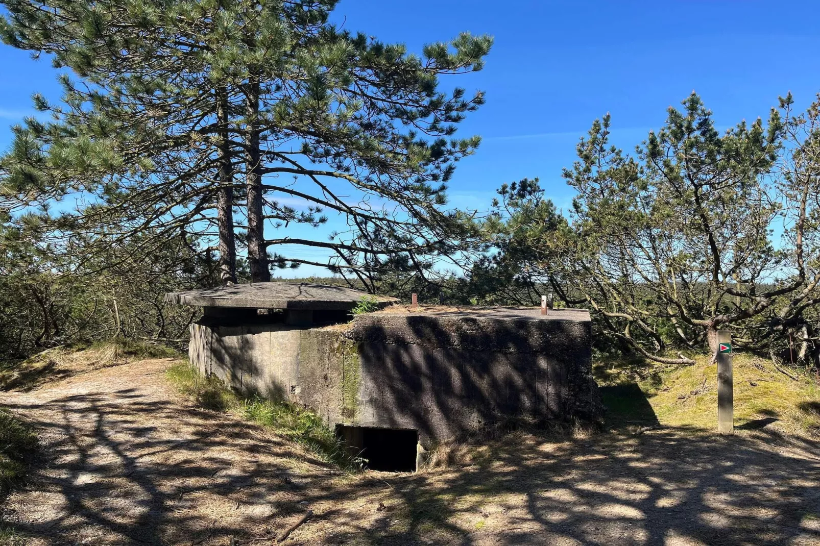 5 person holiday home in Oksbøl-By Traum-Untagged