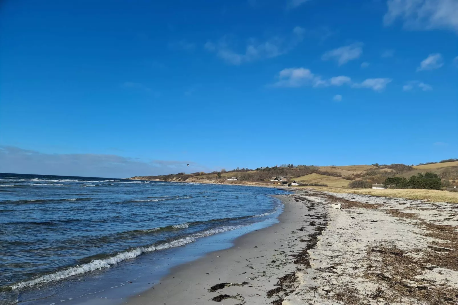 4 Personen Ferienhaus in Føllenslev-By Traum-Wasserblick