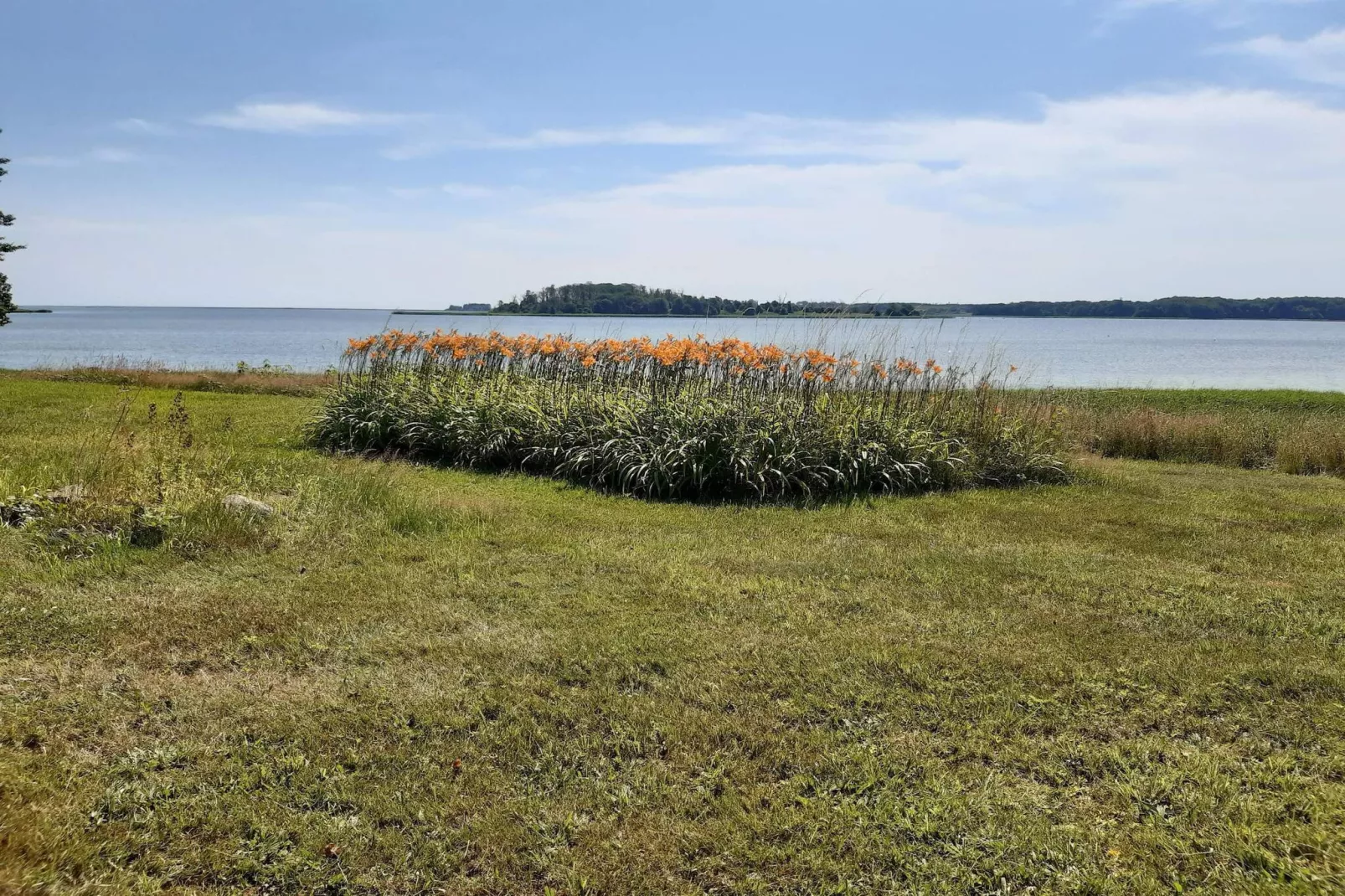 5 person holiday home in Rude-By Traum-Water view