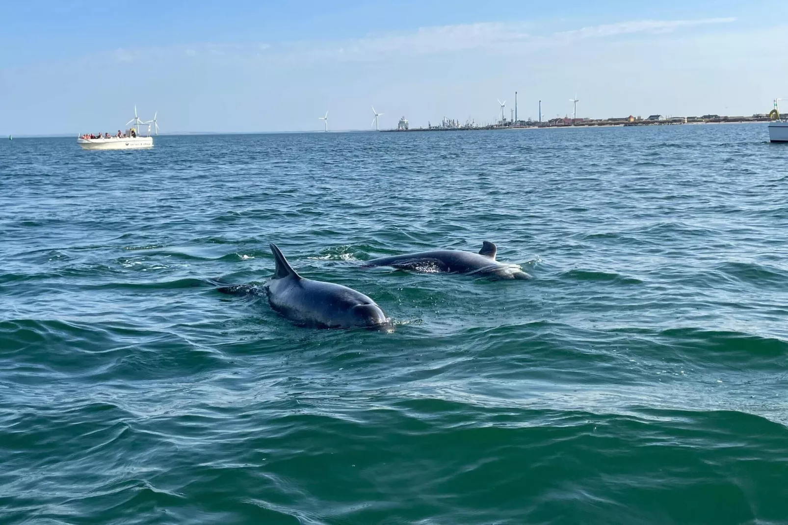 4 person holiday home in Thyborøn-By Traum-Water view