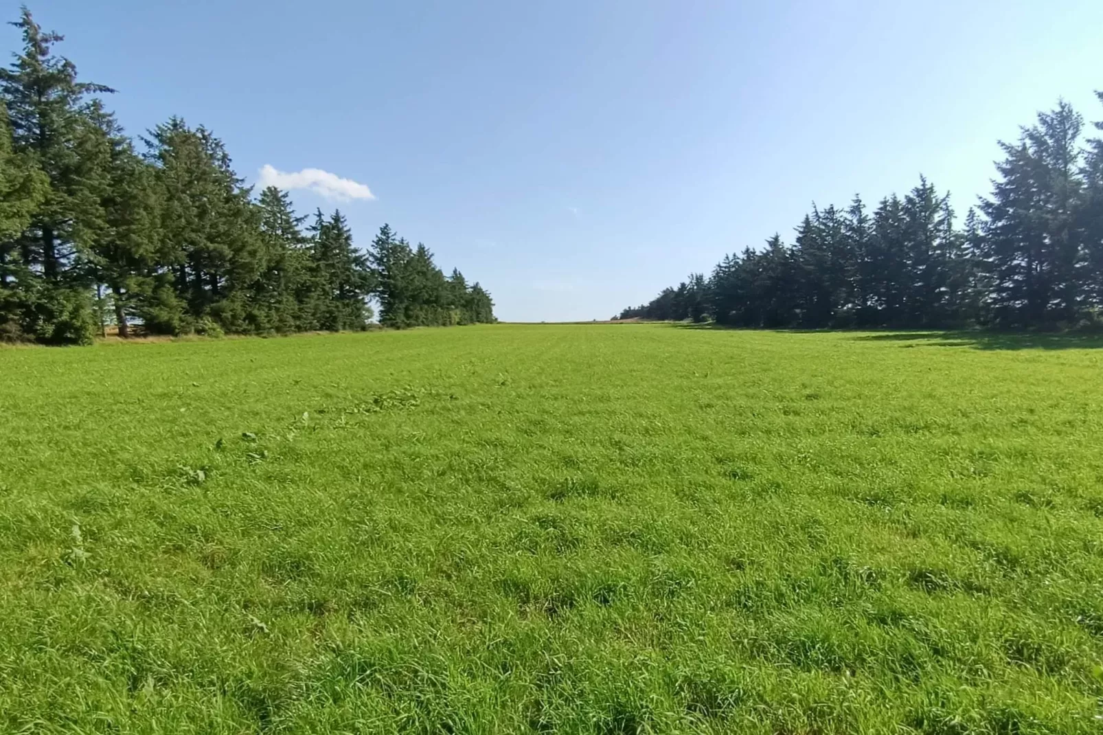 7 person holiday home in Toftlund-By Traum-Untagged