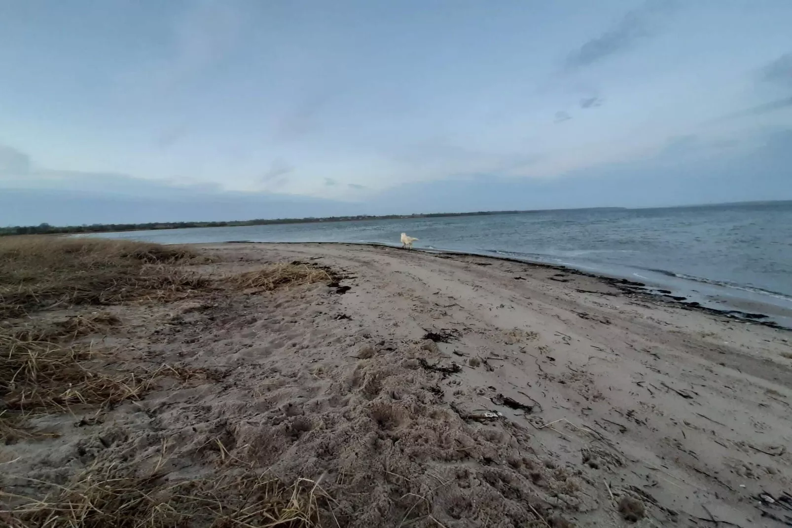 Geraumiges Refugium am Limfjorden -- By Traum Ferienwohnungen-Wasserblick