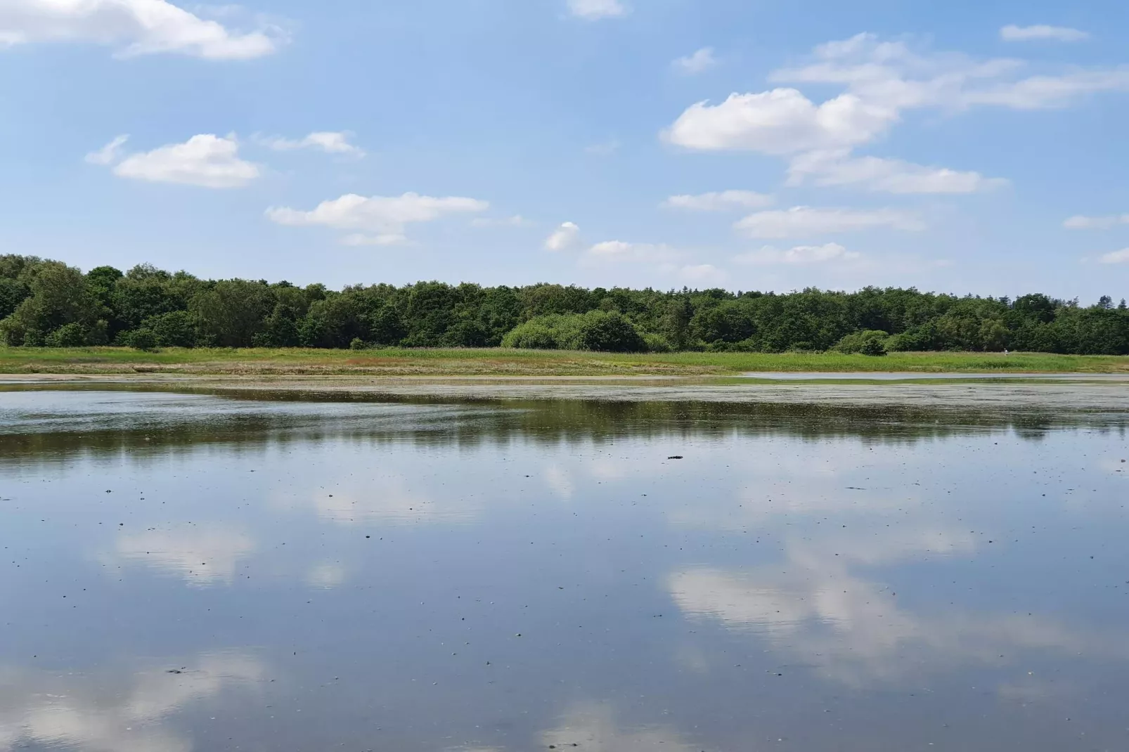 Tranquil Oasis with Pool - By Traum Ferienwohnungen-Water view