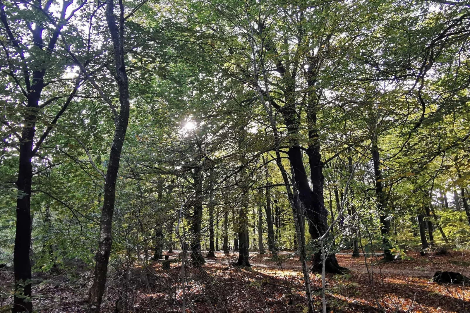 4 Personen Ferienhaus in Henne-By Traum-Nicht zugeordnet