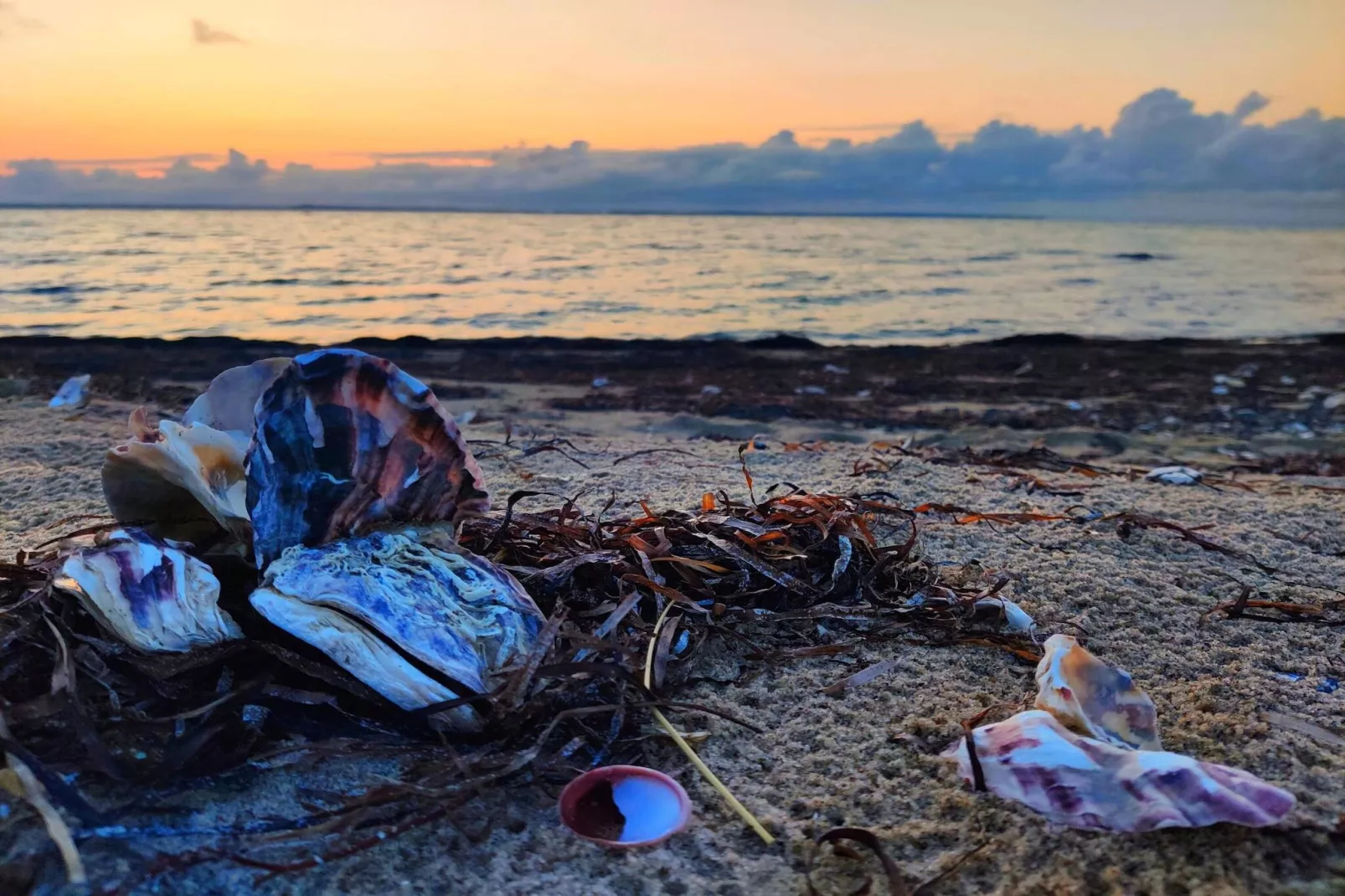 5 Personen Ferienhaus in Vinderup-By Traum-Wasserblick