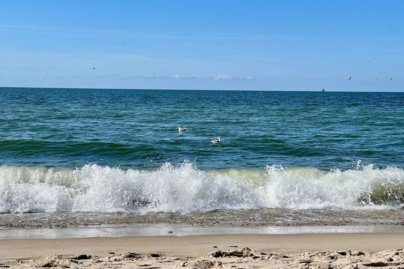 Retraite confortable près de la mer -- By Traum Ferienwohnungen