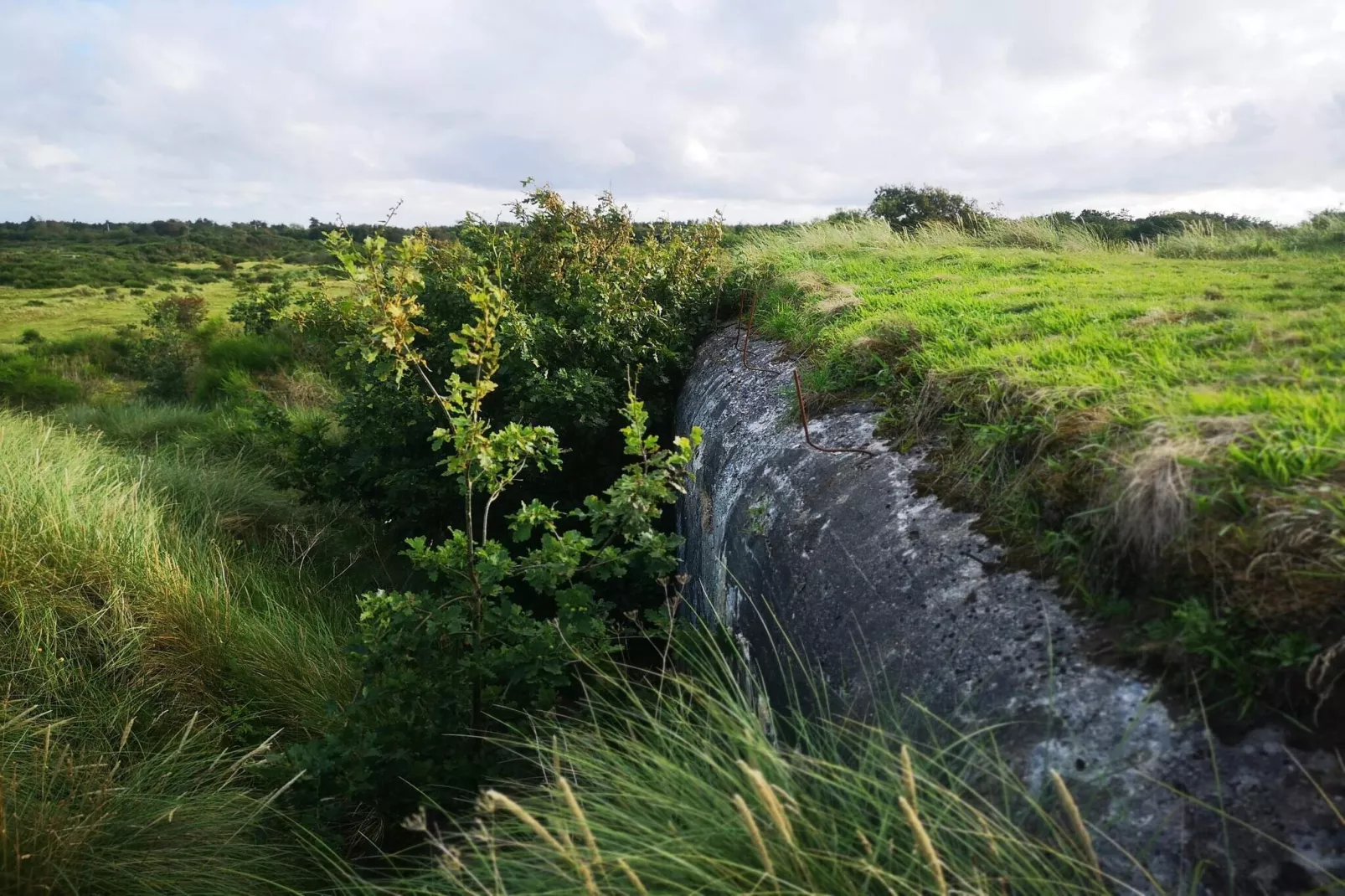 4 Personen Ferienhaus in Skjern-By Traum-Nicht zugeordnet