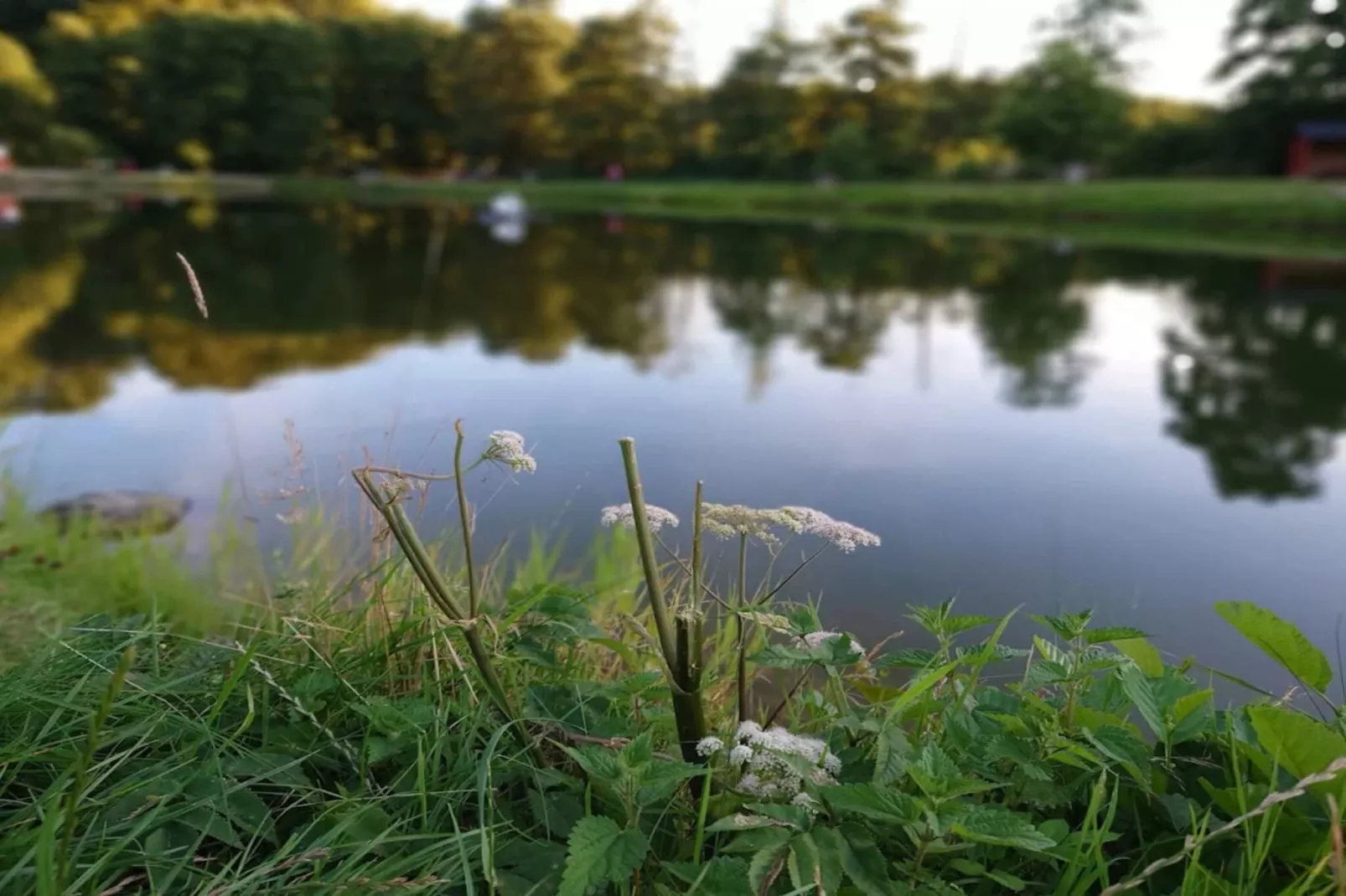 Luxus-Ruckzugsort bei Asbolholm -- By Traum Ferienwohnungen-Wasserblick