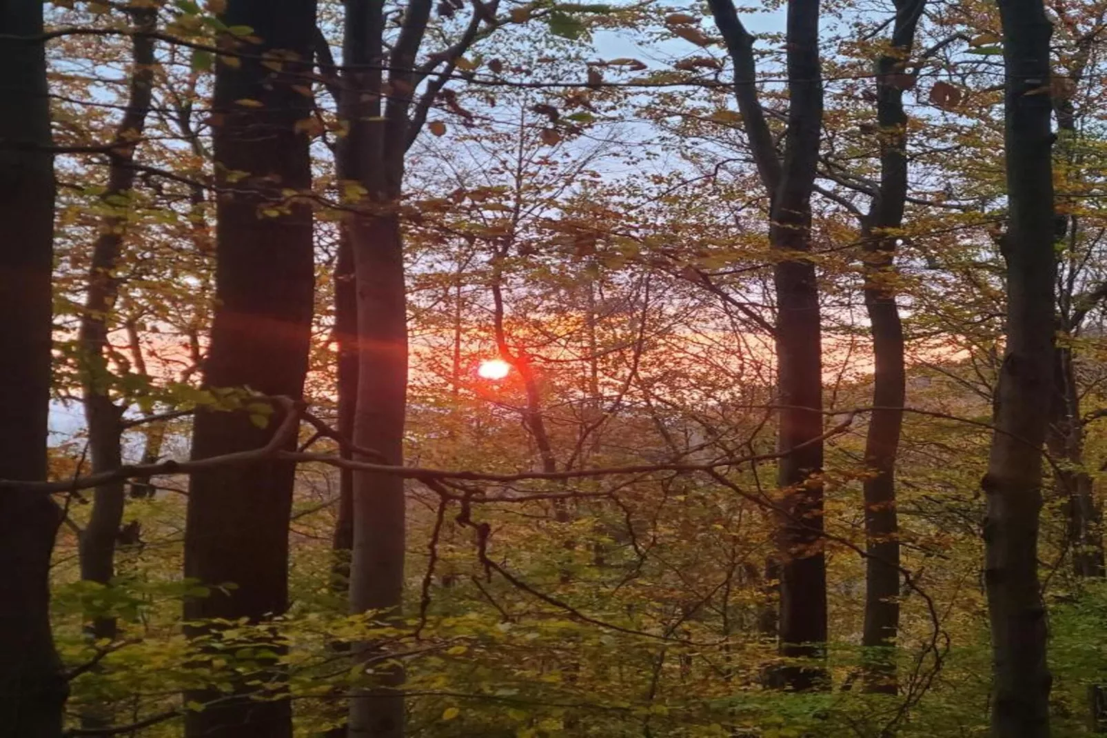 Weserbergland - Bad Pyrmont-Areas within 20km in summer