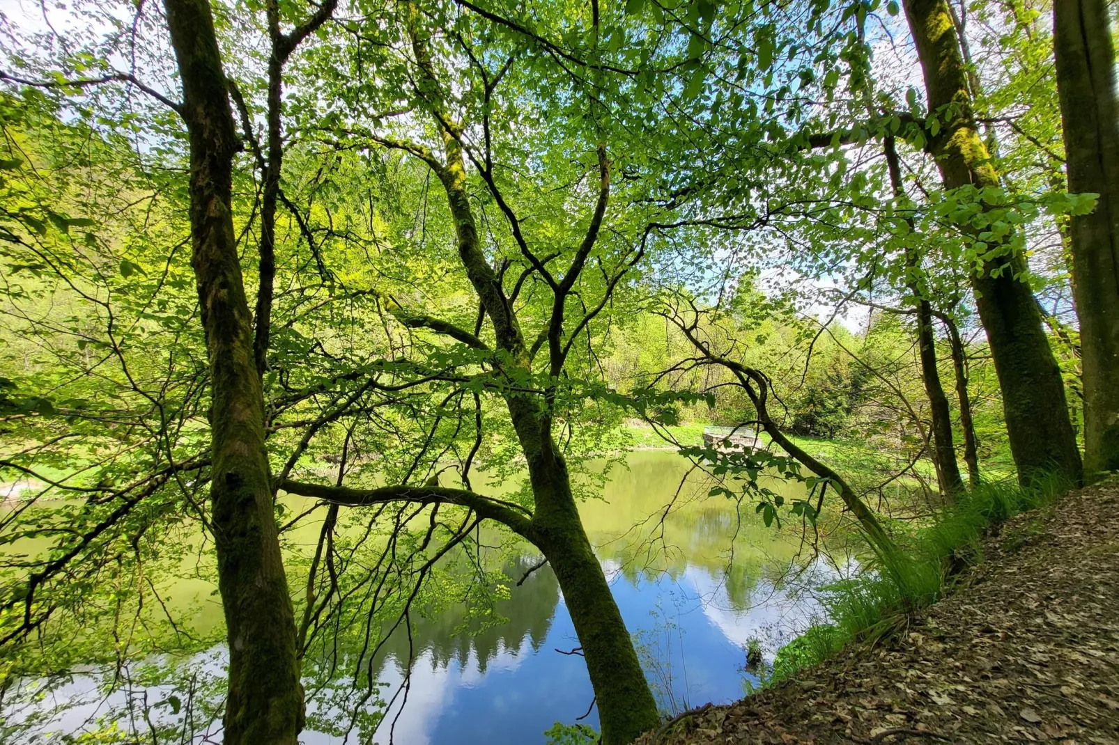 Am Waltenberg 70-MS-Gebiete Sommer 5 km