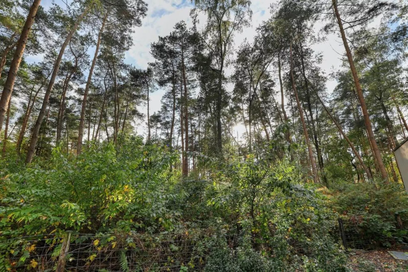 Bospark Markelo 2-Areas within 20km in summer