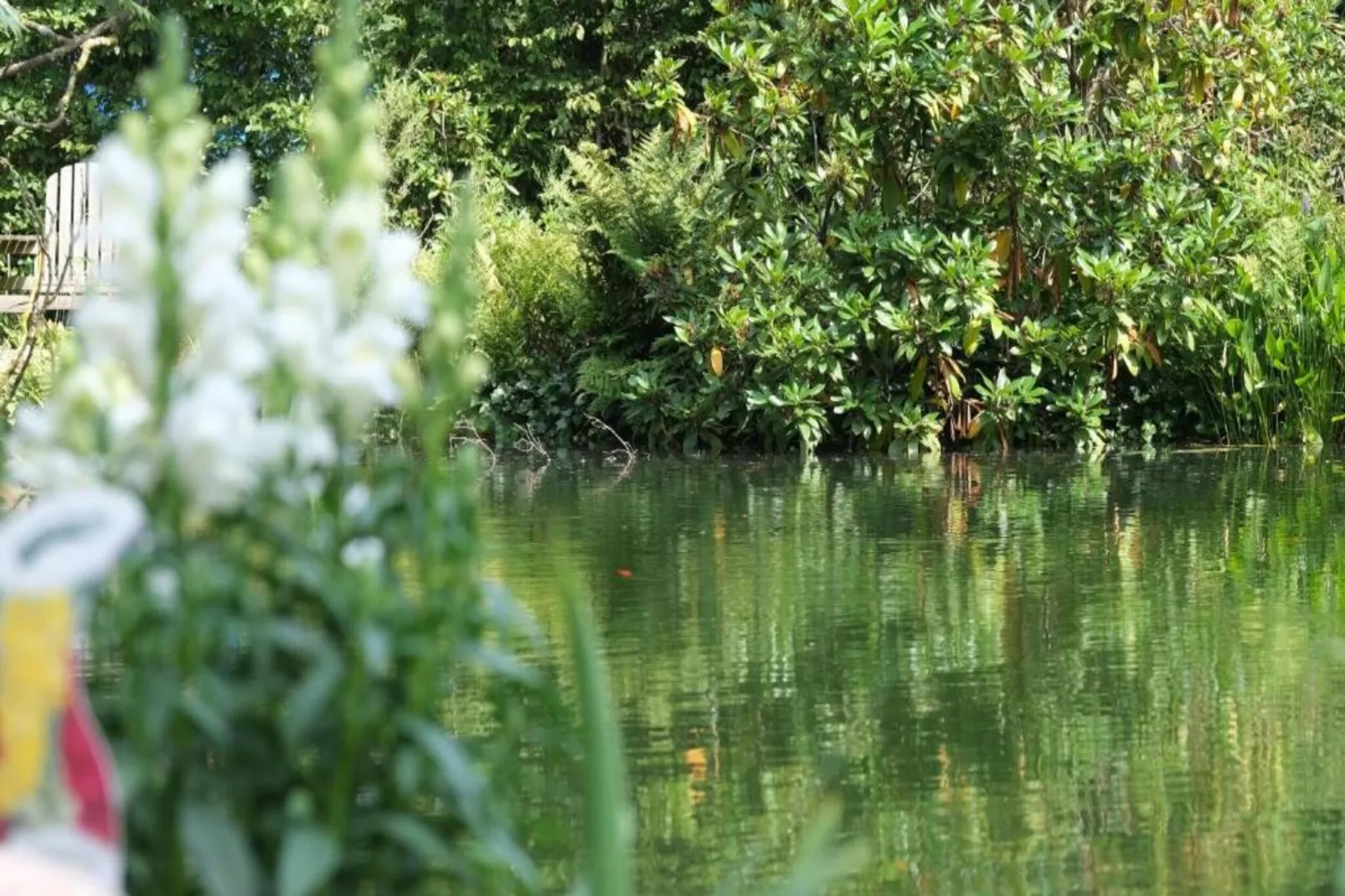 Bospark Markelo 7-Areas within 20km in summer