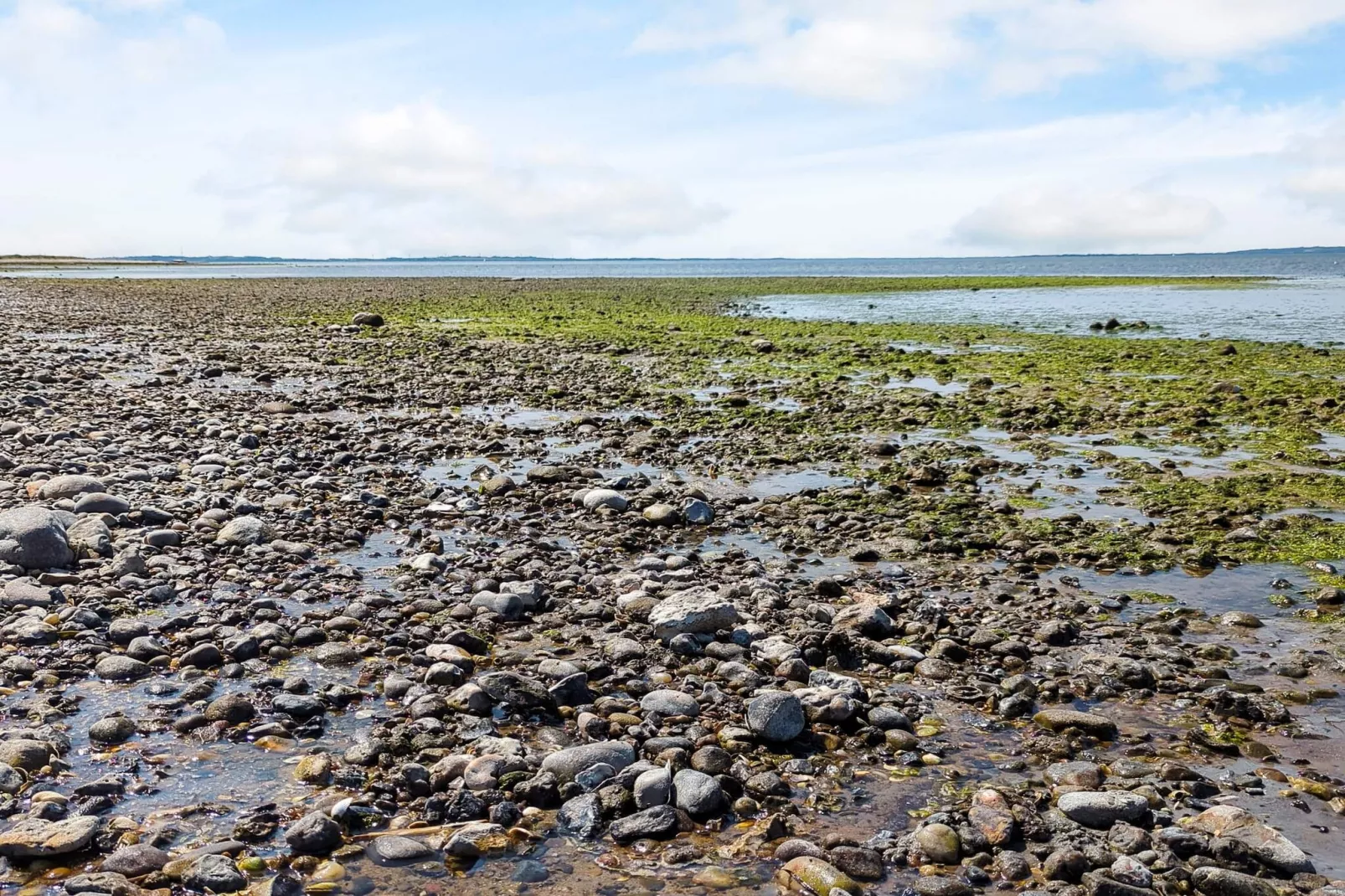 Maison de vacances pour 10 a Løgstør-By Traum-Vue sur l'eau