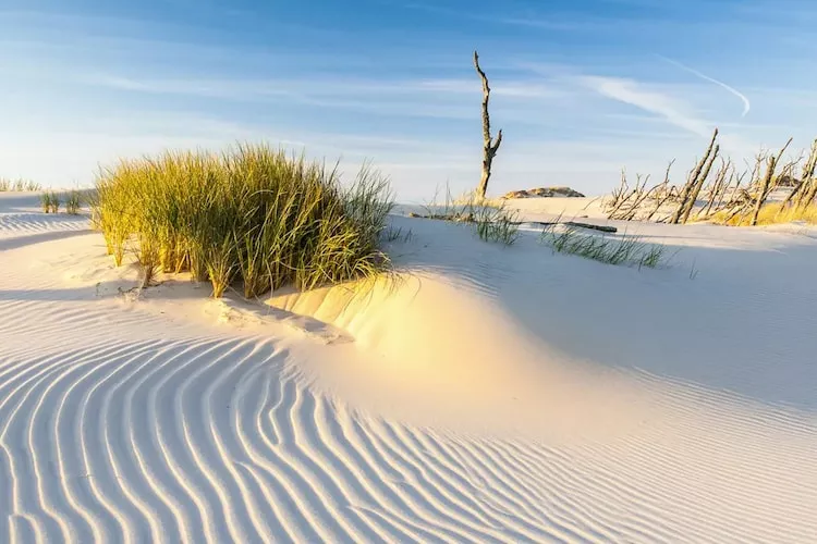 Dom wakacyjny Seahorse w Rowach-Gebiete Sommer 5 km