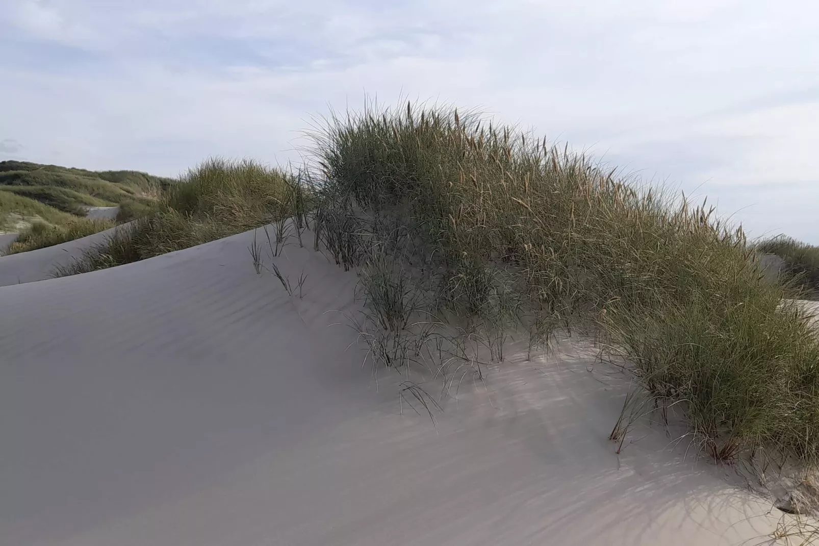 6 person holiday home in Saltum-By Traum-Untagged