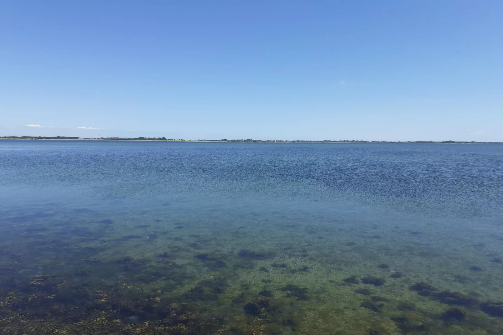 FeWo EG E-37-Areas within 1km in summer