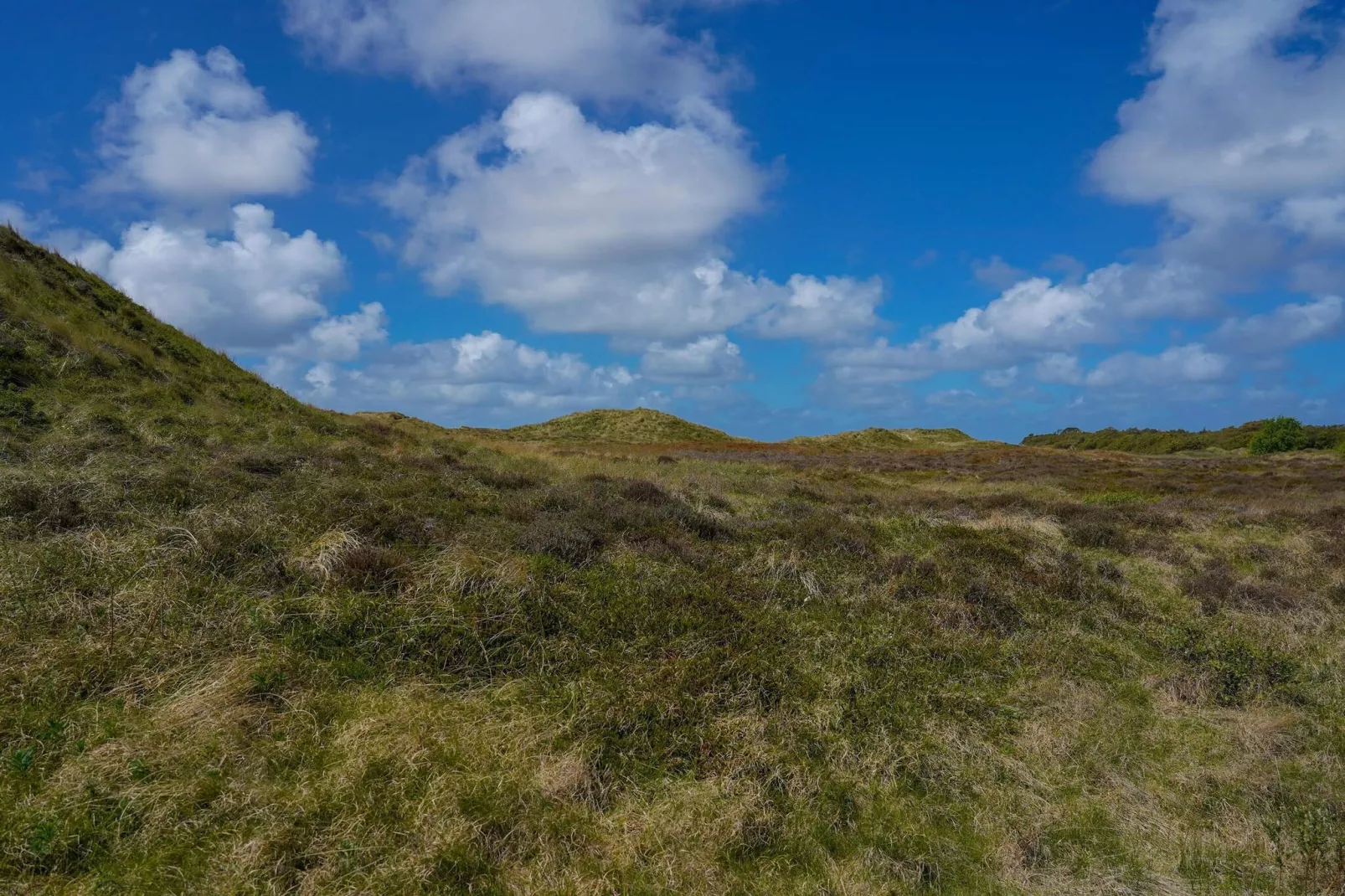 Luxus-Ruckzug mit Pool -- By Traum Ferienwohnungen-Im Freien