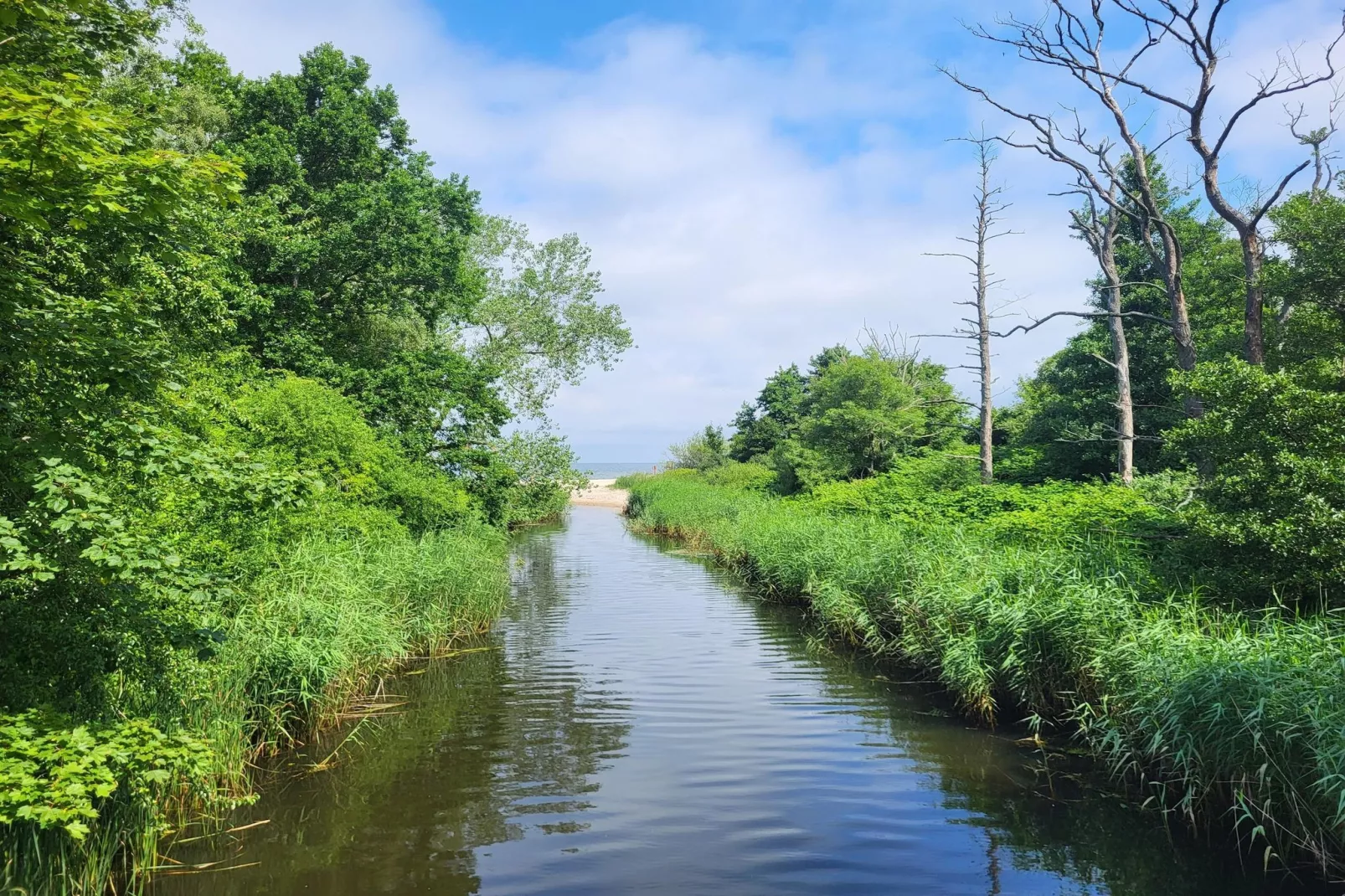 Domki wakacyjne w Gąskach-Areas within 1km in summer