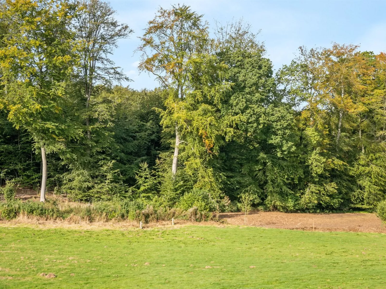 "Rosa" - 300m from the sea-Dehors