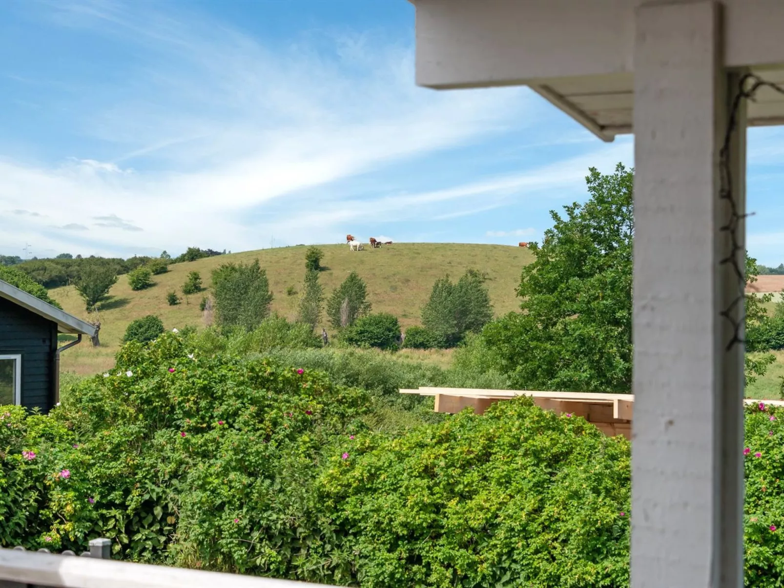 "Raija" - 400m from the sea-Outside