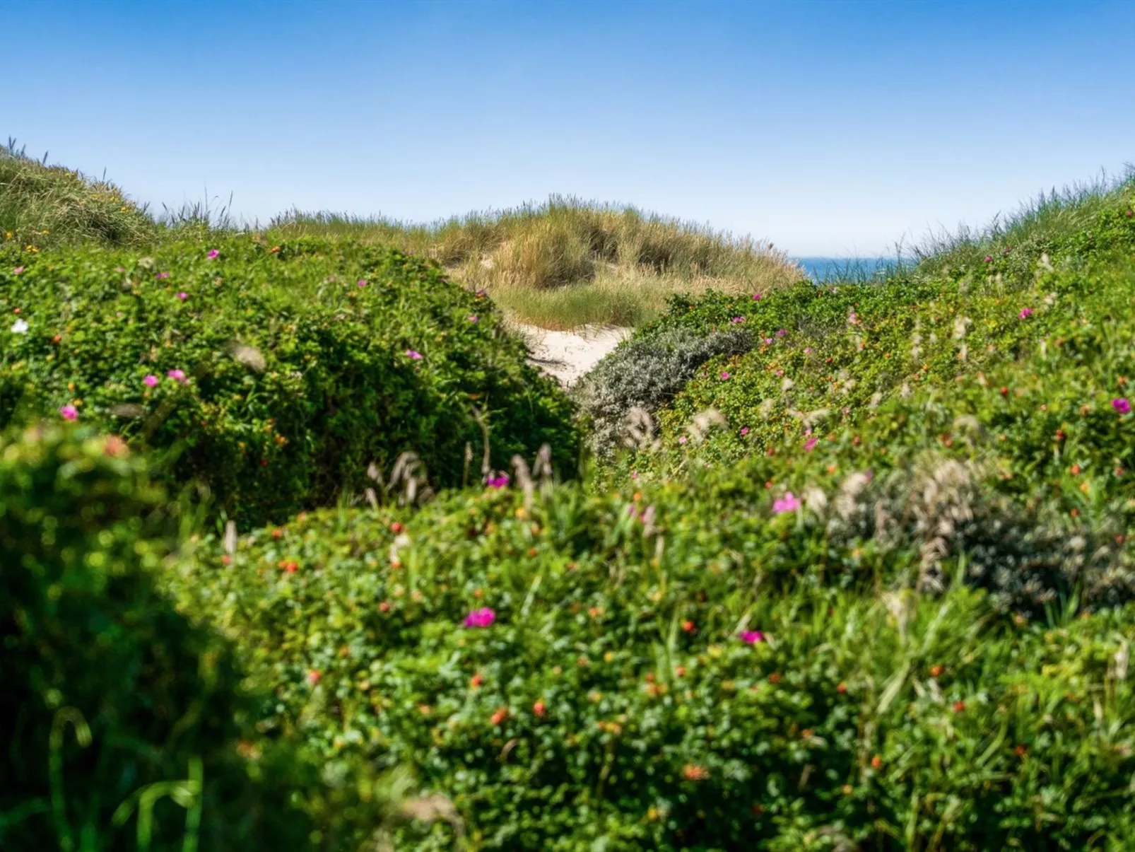 "Rutha" - 45m from the sea-Draußen