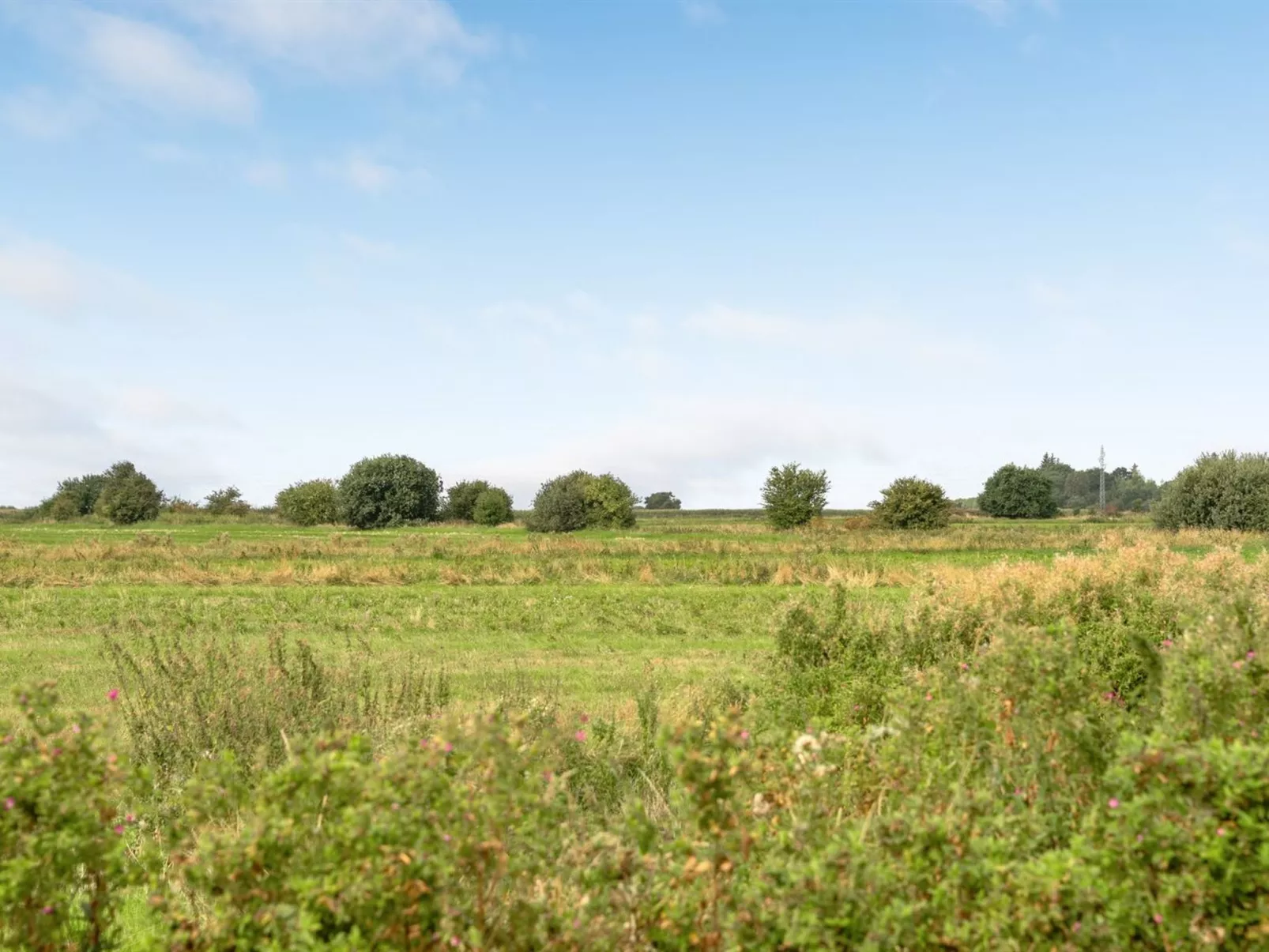 "Ewelina" - 15km from the sea-Dehors