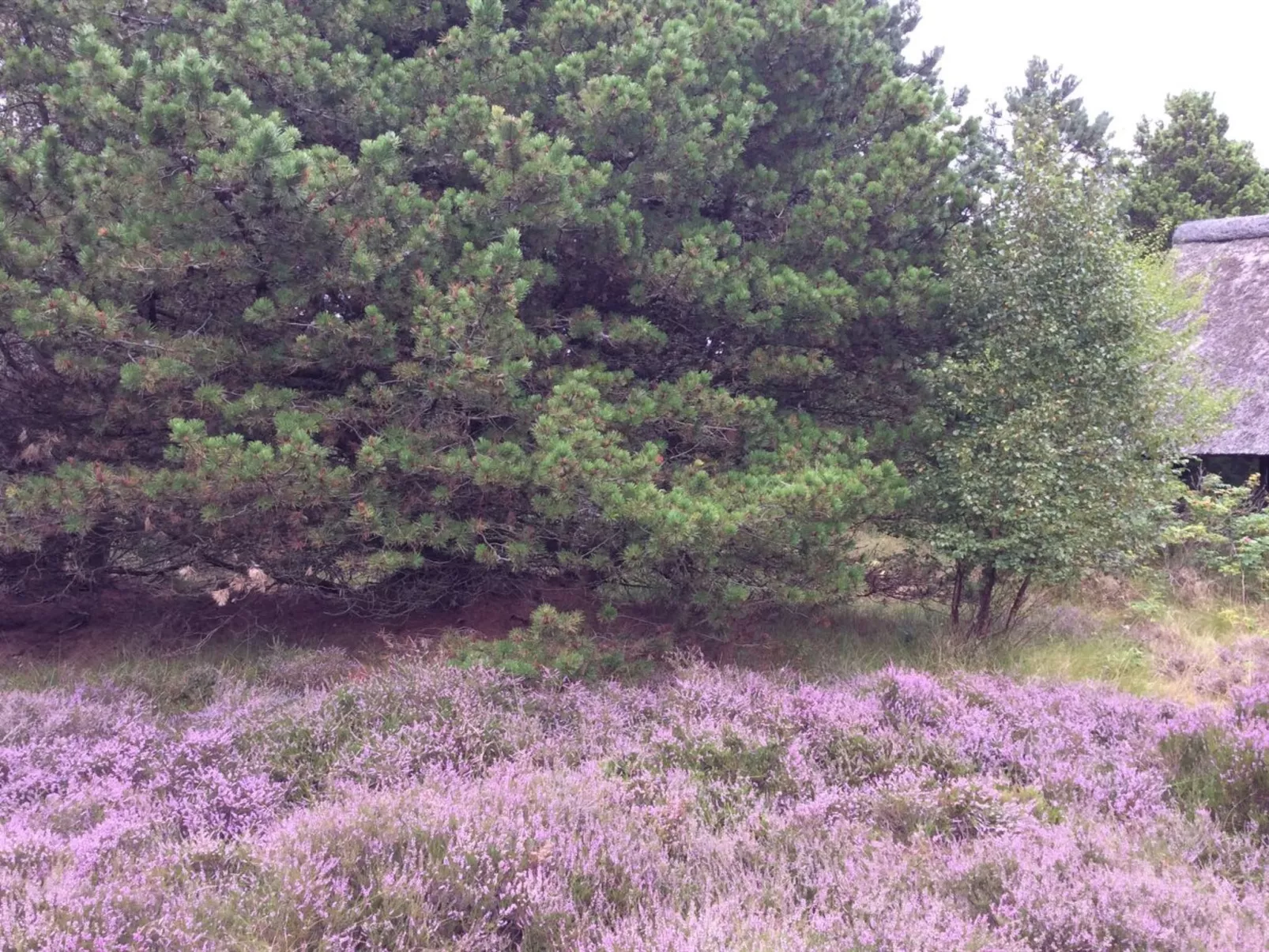 "Emilla" - 3.8km from the sea-Draußen