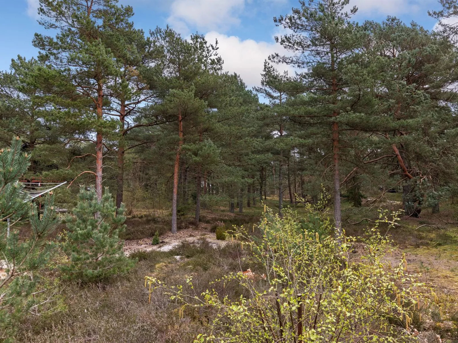 "Ømunde" - 150m from the sea-Draußen