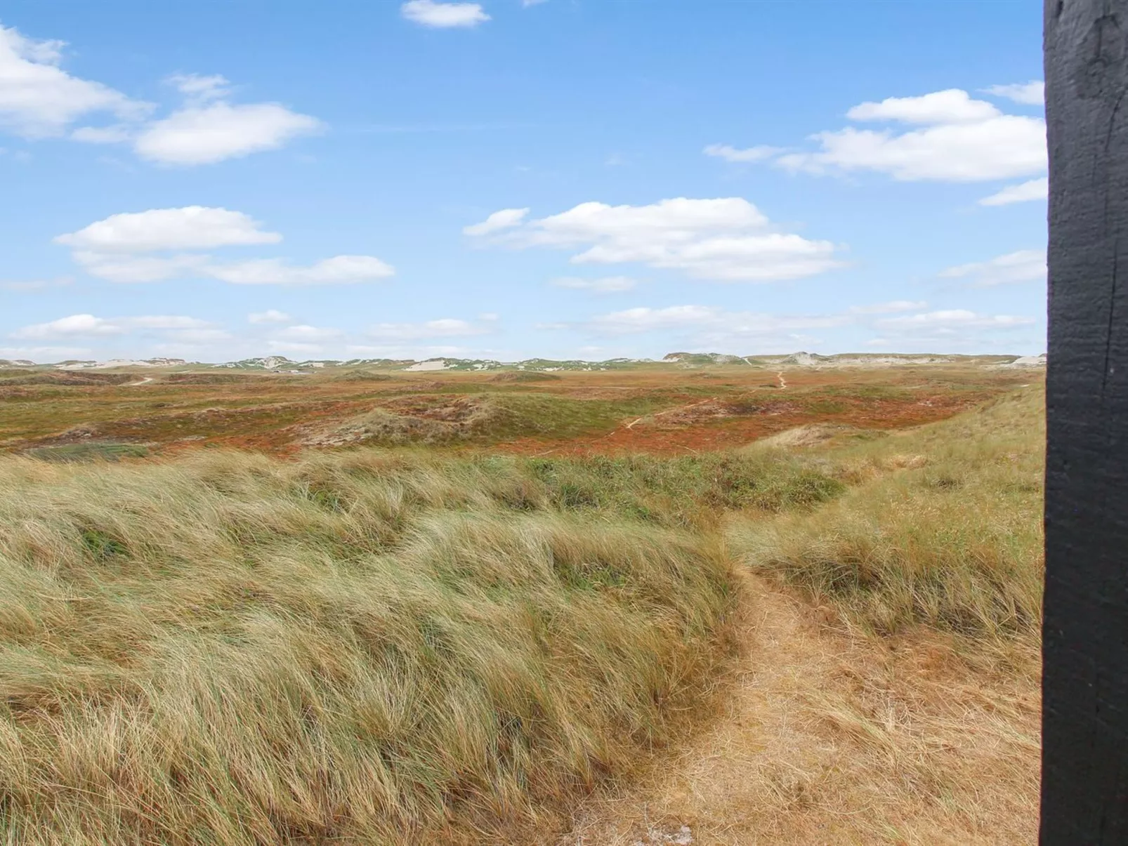 "Swanja" -  from the sea-Outside