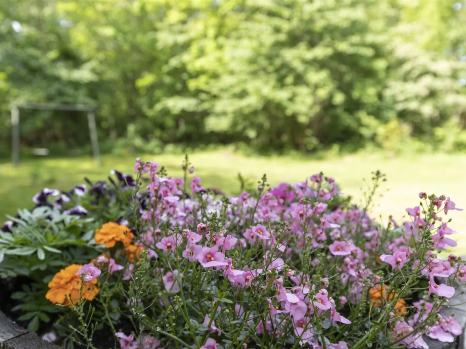 "Friis" - 200m from the sea-Dehors