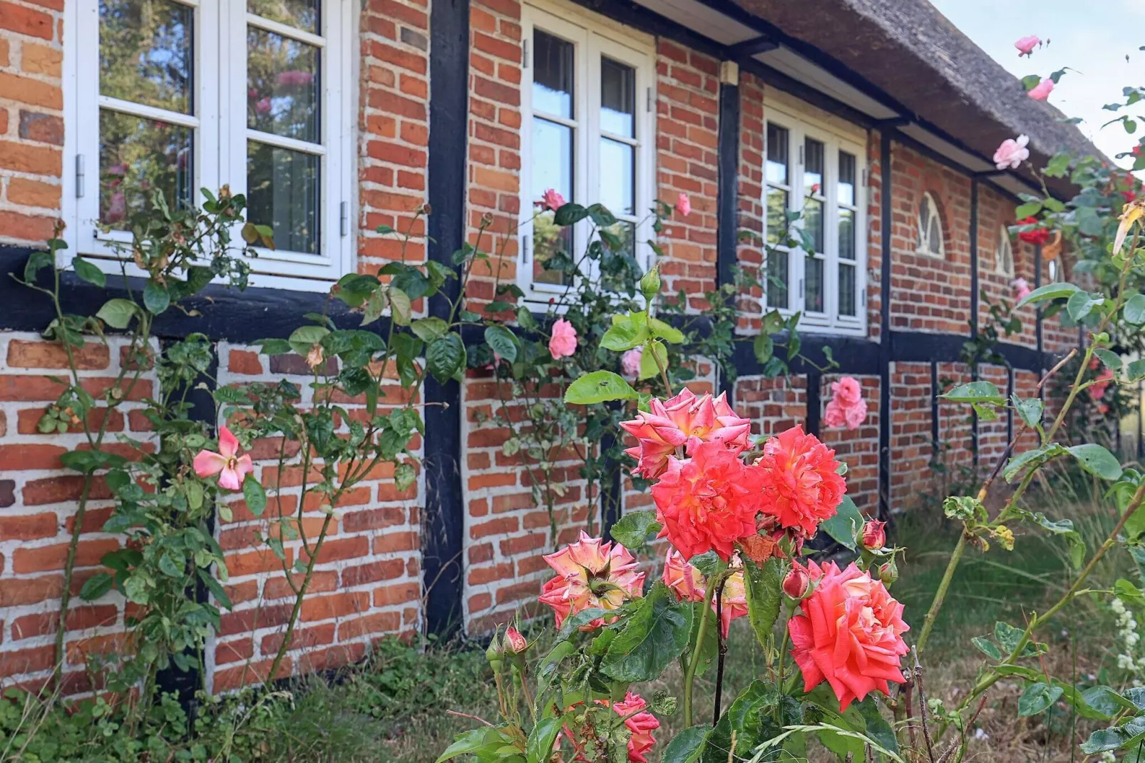6 Personen Ferienhaus in Guldborg-By Traum-Aussicht