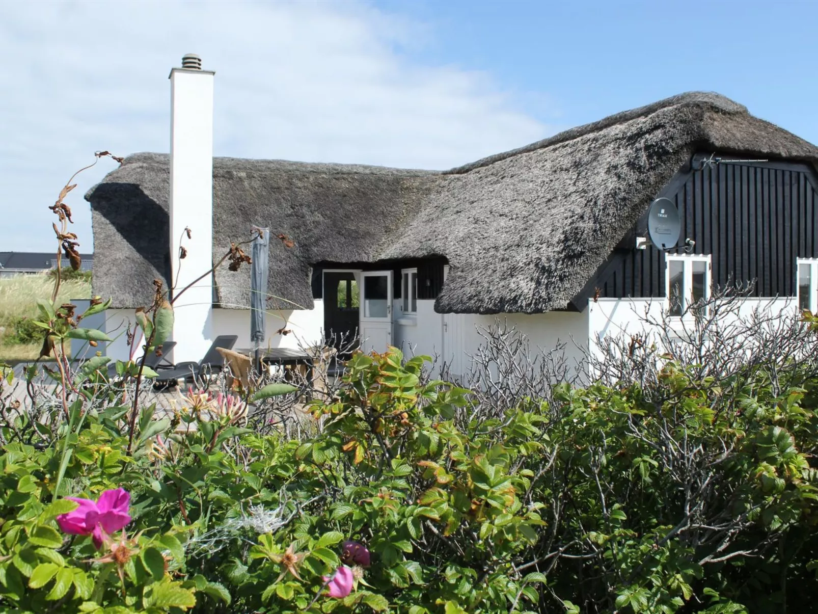 "Annielle" -  from the sea-Draußen