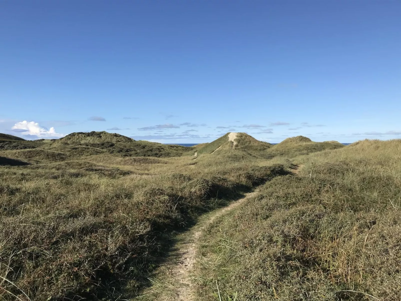 "Finna" - 1km from the sea-Outside