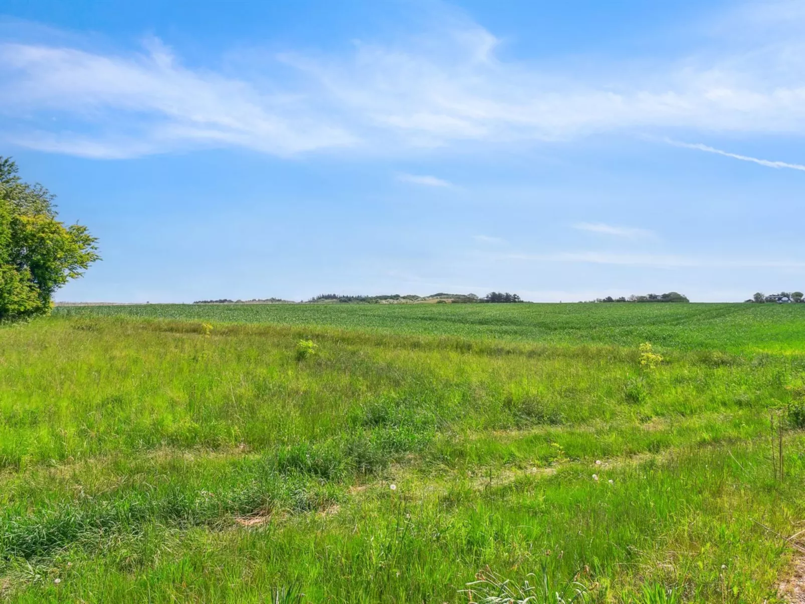 "Althea" - 750m to the fjord-Outside