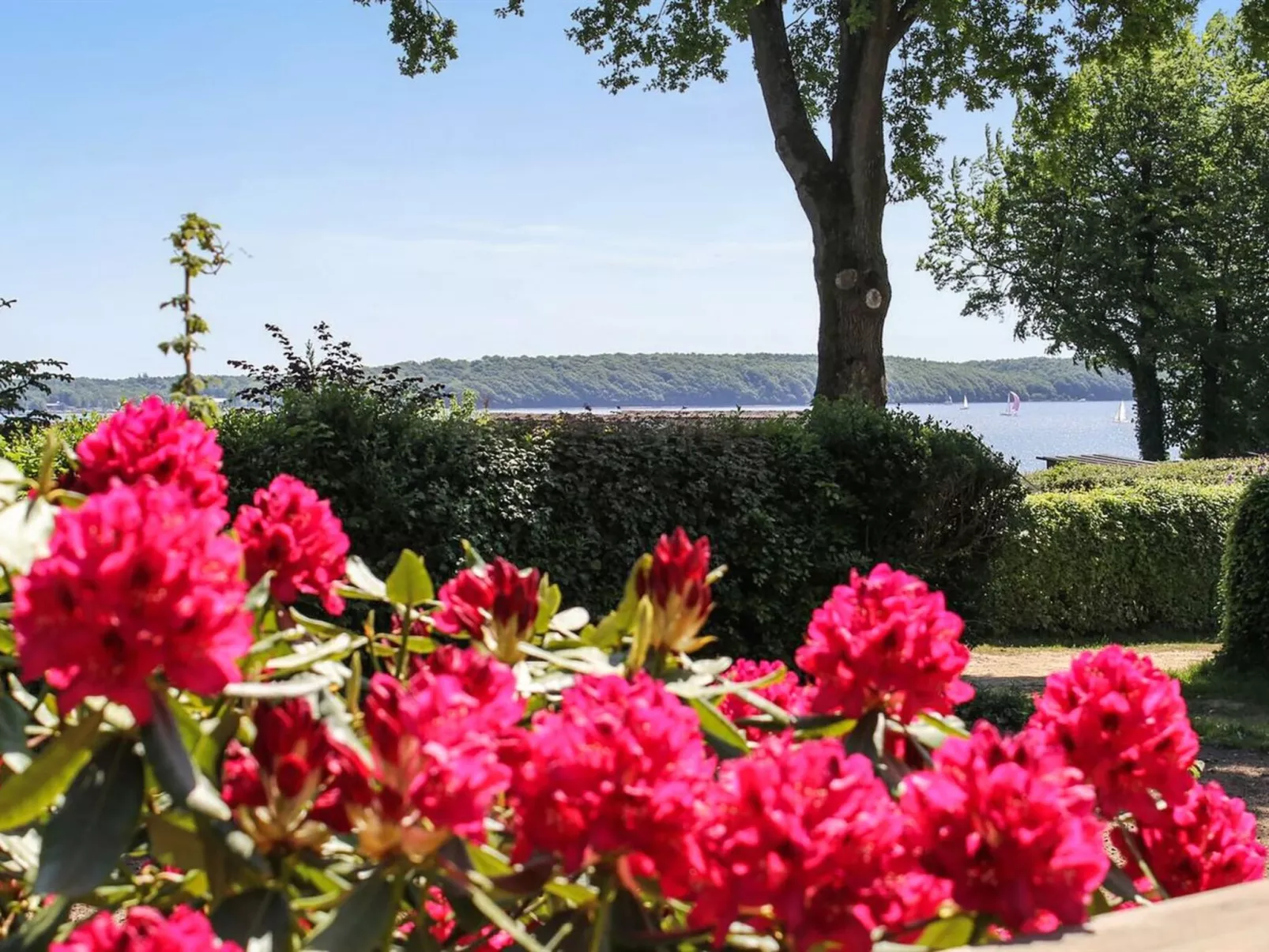 "Engelke" - 150m from the sea-Outside