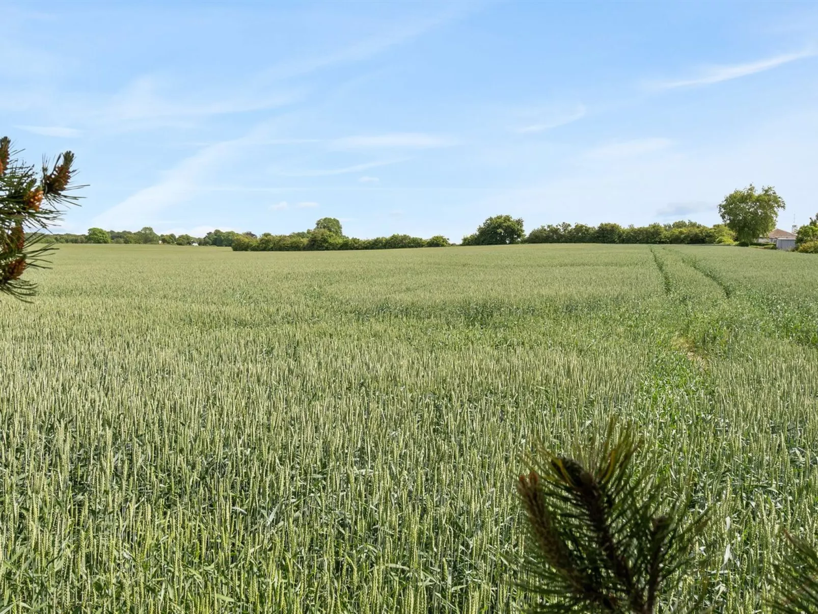 "Veljan" - 400m from the sea-Draußen