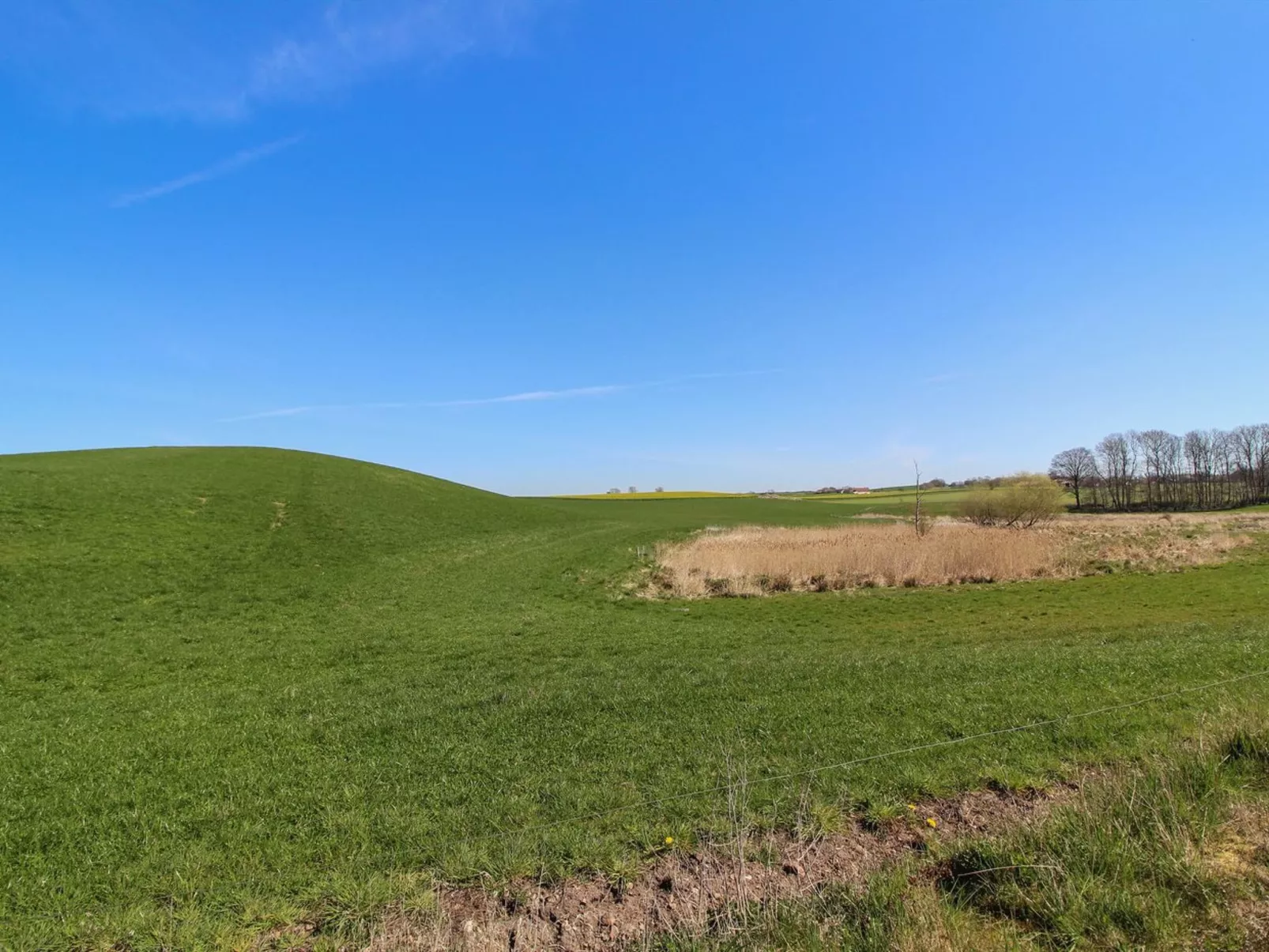 "Raafael" - 175m from the sea-Outside