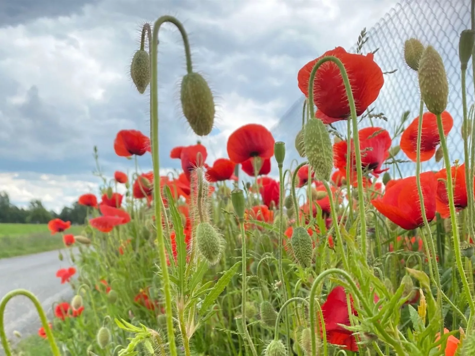 "Askan" - 200m from the sea-Dehors