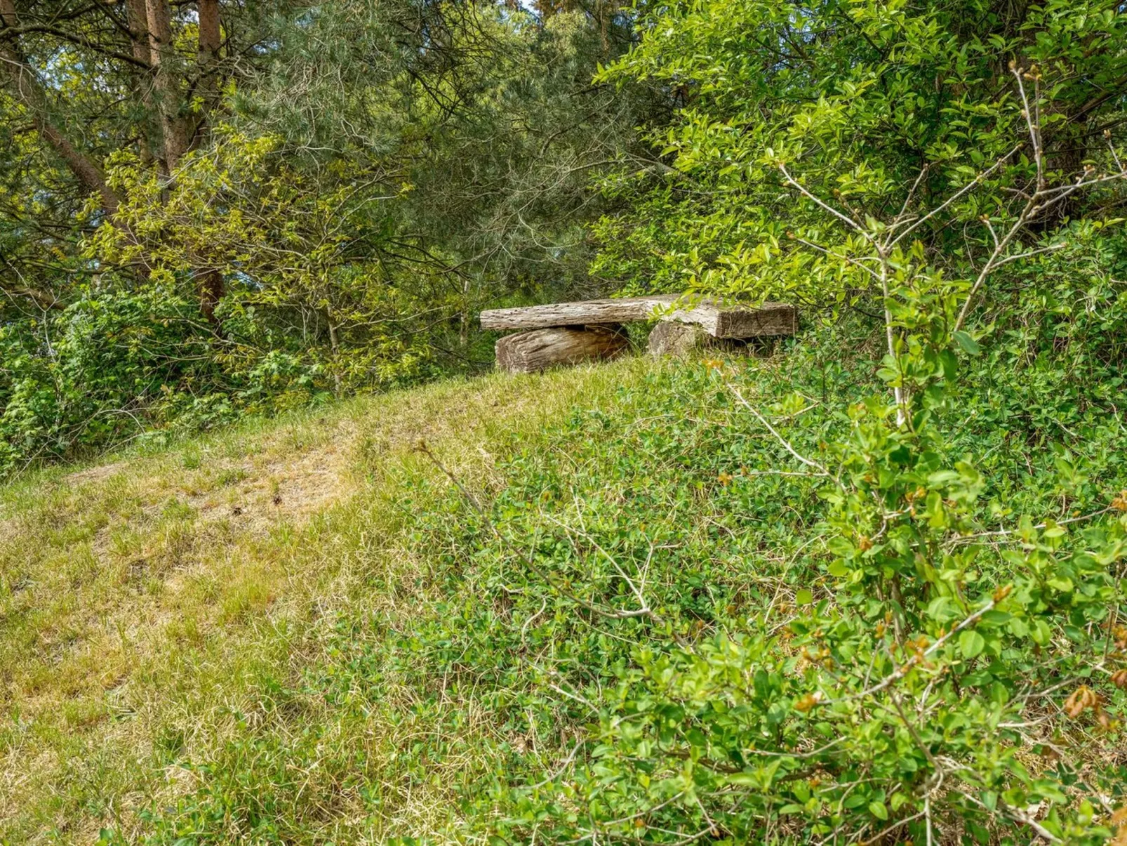 "Livni" - 3.8km from the sea-Draußen