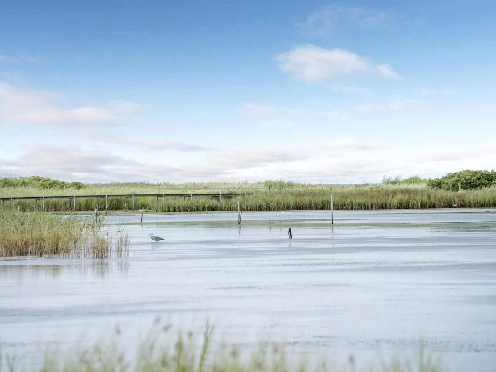 "Stamen" - 200m from the sea-Outside