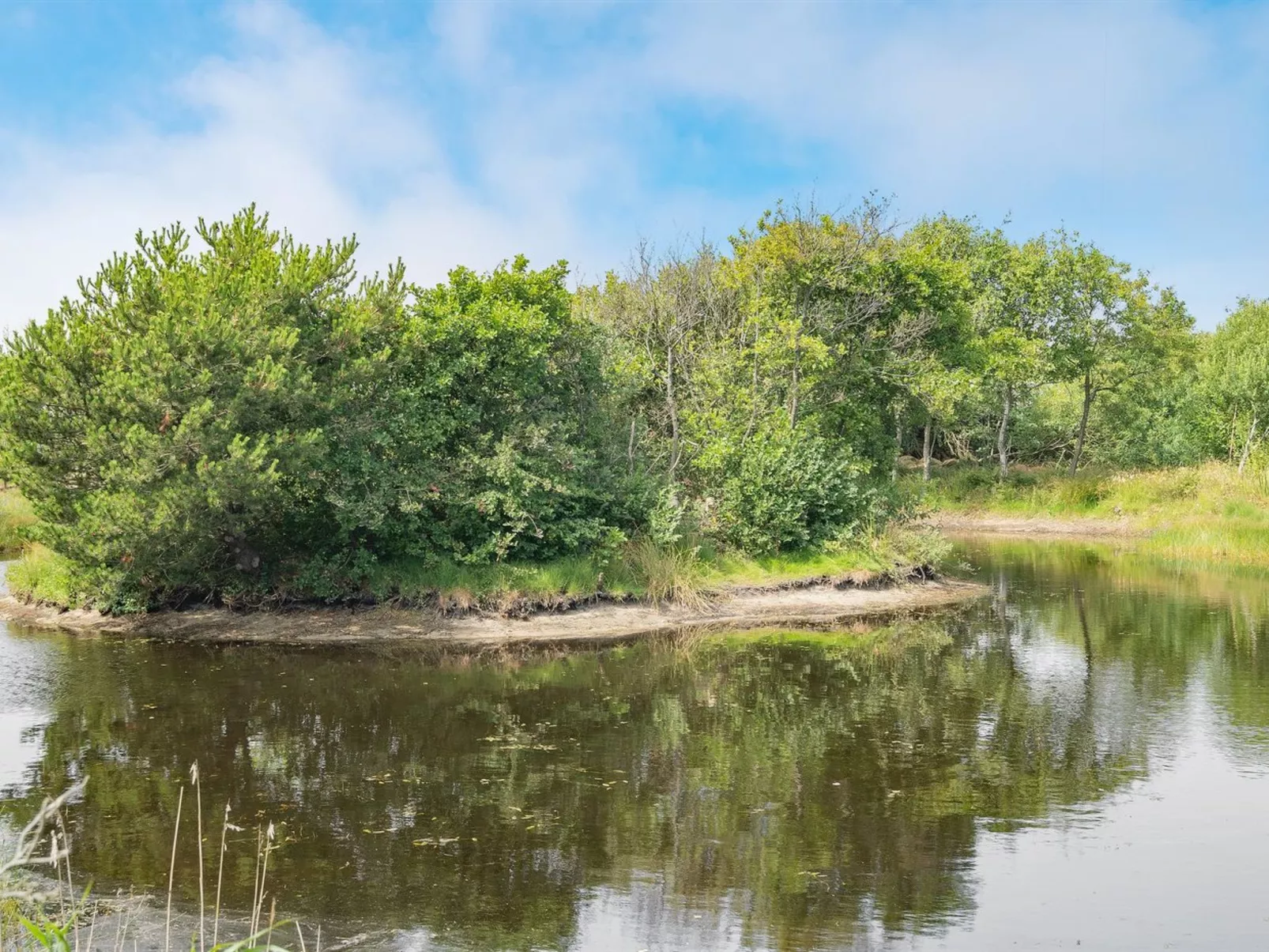 "Frigga" - 400m from the sea-Inside