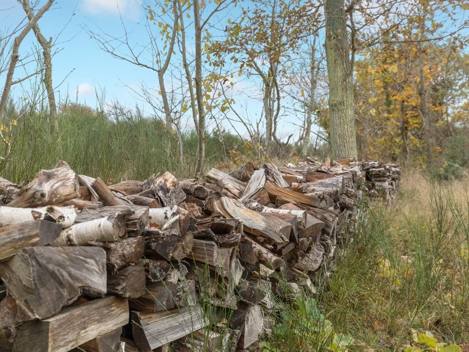 "Aida" - 400m from the sea-Outside