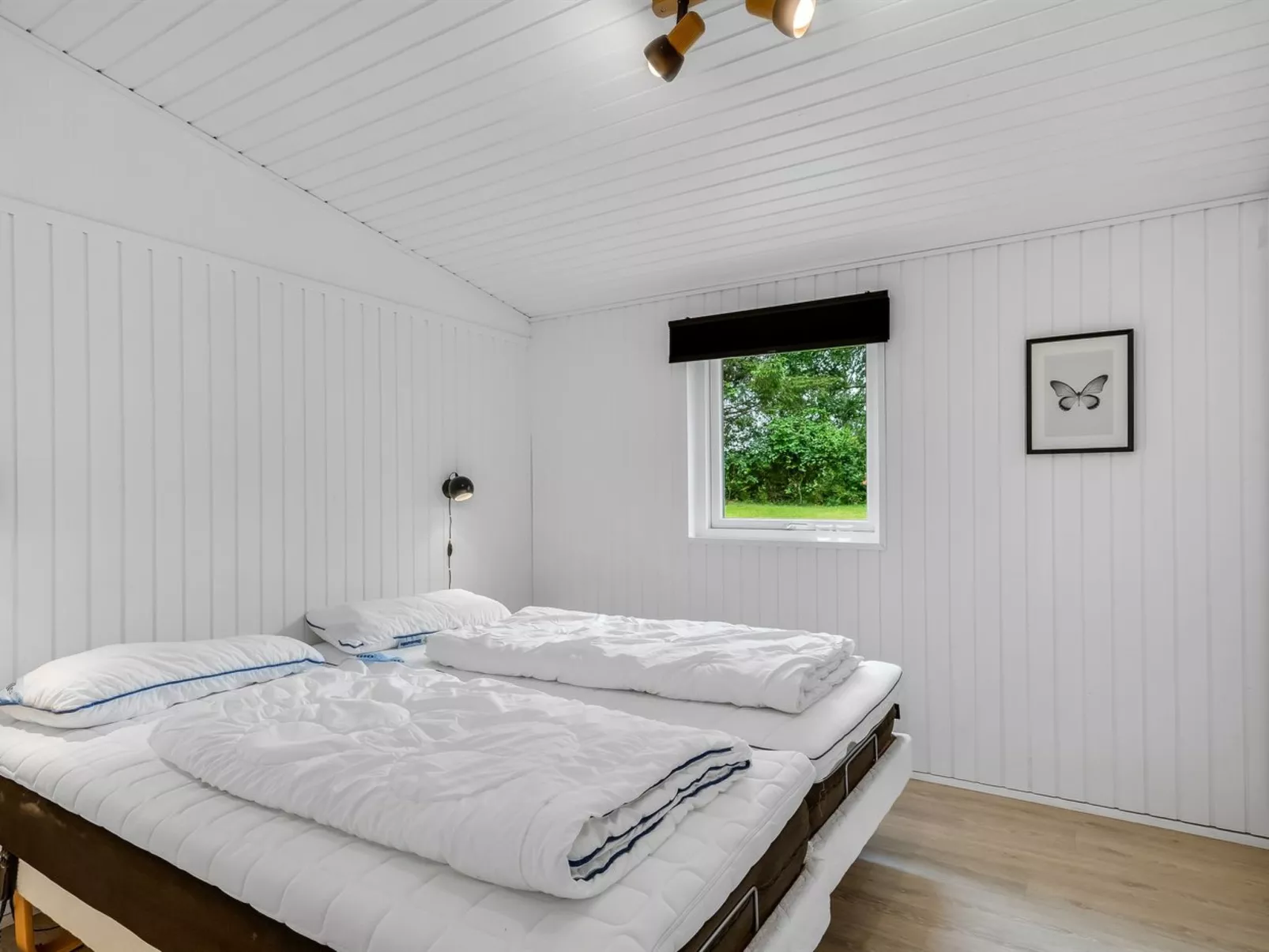 "Elmira" - 555m from the sea-Dedans