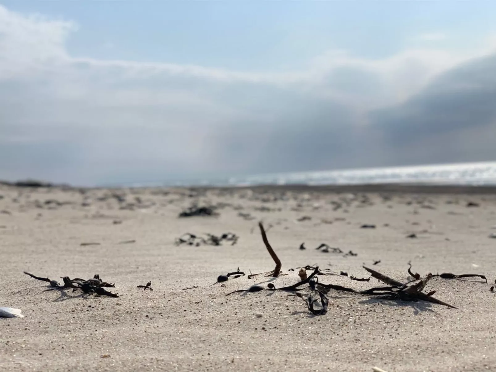 "Durita" - 600m to the fjord-Draußen