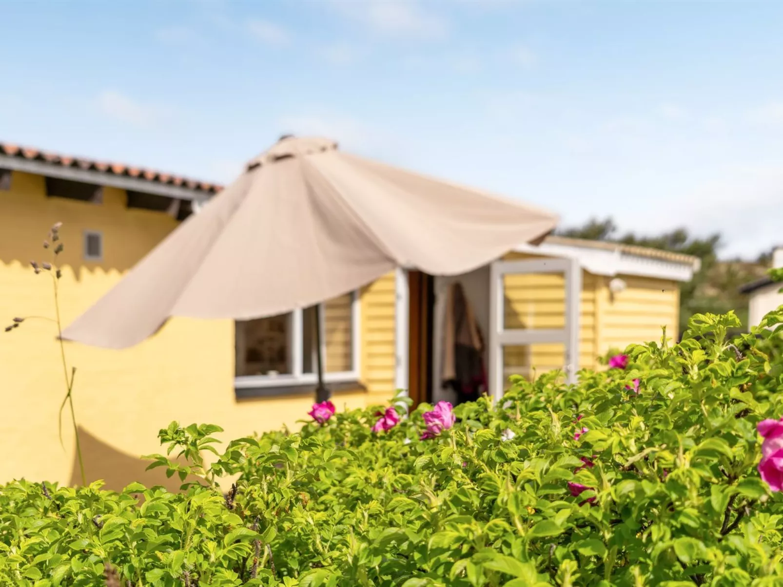 "Suki" - 650m from the sea-Dehors